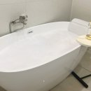 데일리앤스파 이미지