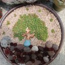 세일농장1 이미지