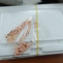 손국시