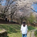 안산공원 | 서울근교나들이 안산공원 노적봉폭포, 노적봉 산책코스 가볼만한곳