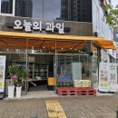과일도소매