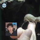 마이온네이처