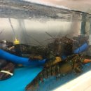 해미횟집 이미지