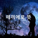떼끼에로
