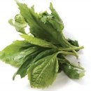 용호근린공원 이미지