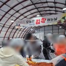 2024 평창 고랭지 김장축제 김장 후기(사전예약, 배추키로수, 맛, 택배 후기)