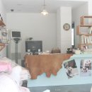 애견미용실 몽 이미지