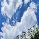 망미1-101 이미지