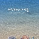 캔들바다 이미지