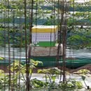 덕명농장 이미지