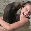 스마일 짐 이미지