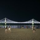 푸바오애견 | 부산 광안리 해수욕장 반려견 동반 바다 여행! (해파리, 이용후기, 파라솔/튜브 대여료, 푸바오패밀리)