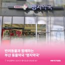 강서지금약국 이미지