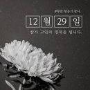 카페니드 - 보령시 염생이길 146-6 | 카페니드