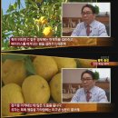 유자
