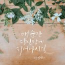 초월캘리