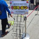 장미시즌 과천 서울대공원 장미축제 장미원 방문 후기(주차 등)