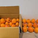 삼인농장 이미지