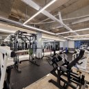 매드볼릭 휘트니스 이미지