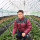 석일농장 이미지