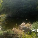 남원읍-65 이미지