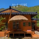 [태백 정남까페]할머니집 느낌나는 시골감성 태백카페!