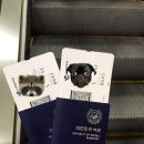 [🇭🇰홍콩여행 Day1]홍콩 4박 5일 완벽 동선✨/홍콩 옥토퍼스카드 공항 구매/딤딤섬 몽콕/홍콩 만원대...