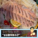 싱싱횟집 | [준비된오늘] 일산맛집 신규 오픈 횟집 추천 싱싱활어회수산 후기 - 가을전어의 진미!