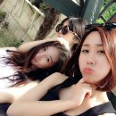 이디야커피거제 - 거제시 상동5길 25 | 이디야커피거제