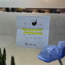 뉴해법학원 | 신월동수학학원, 학부모 후기보다 더 솔직한 학생후기 공유합니다!!