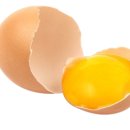 풍성푸드 이미지