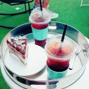 에스피에스타 이미지