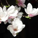 (주)미인나라 이미지