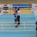 신천스타복싱 이미지