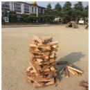 전주문정초등학교 이미지