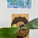 카페 사월오일 이미지