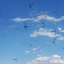 경희미한의원 이미지