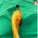 대전우리동물의료센터 이미지