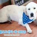 계창초등학교 Daum카페