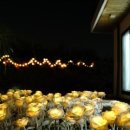 낭만느림보 이미지