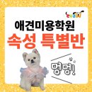 송파평생직업교육학원
