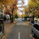 오정로252번길 이미지