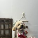 오월의 그루밍 이미지