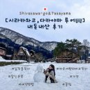 영화농산물 | 가성비 시라카와고&amp;다카야마 당일 투어 총정리(내돈내산 후기,할인정보,일정,가격,개별이동 비교,날씨)
