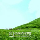 하늘꽃화원 이미지