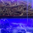 가곡7길 이미지