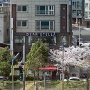 디어스텔라(DEAR STELLA) 이미지