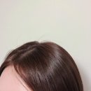 대구미장원 - 울진군 | 대구 수성구 뿌리염색 잘하는 곳 윤이네미장원 내돈내산 후기