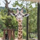 옷만들기 중고급 | 캐논 70d, 애버랜드 로스트밸리 구경하기