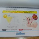 디니힐링시스템 이미지